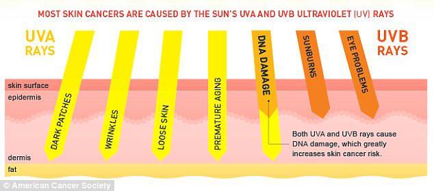 Most Skin Cancers are Caused by The Sun's UVA and UVB Ultraviolet Rays